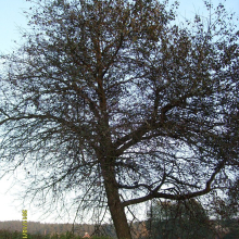 S7300299-013
