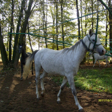 S7300349-056