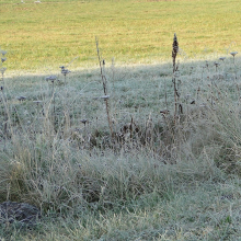 DSC03847-045